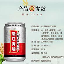 珠江啤酒原麦老珠江330ml*24罐浓郁够味啤酒罐装24罐12度一件代发