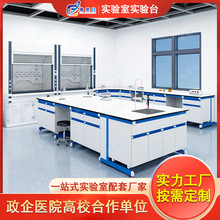 广东实验室工作台全钢木实验台边台中央台实验桌通风柜实验台厂家
