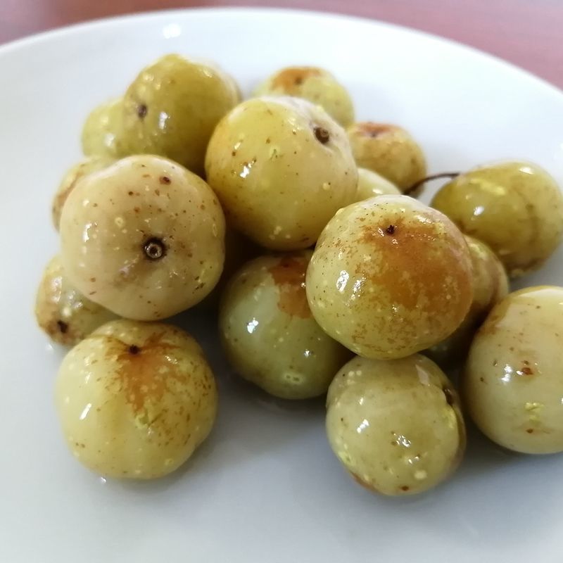 广西腌制酸余甘果油柑果牛甘果油甘果牛甘子油金子酸料酸嘢酸野