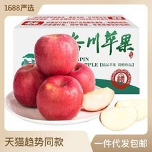 【洛川直发】陕西正宗洛川苹果新鲜水果包邮一件代发