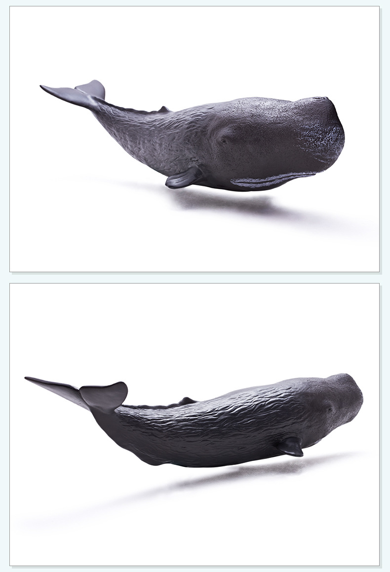recur仿真海洋软胶动物模型16099抹香鲸16076长须鲸16106露脊鲸