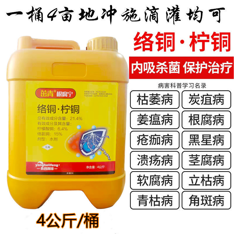 大桶柠铜络氨铜柑橘溃 疡病烂果根腐病细菌性病害络氨铜杀菌剂