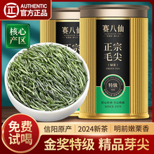 赛八仙金奖2024新茶毛尖茶叶信阳明前嫩芽3A毛尖茶绿茶春茶