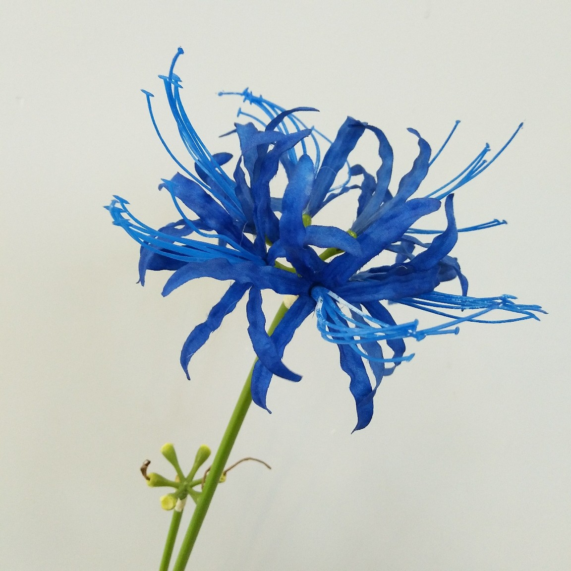 彼岸花2叉风雨兰曼珠沙华家居装饰婚庆花艺红色仿真花批发