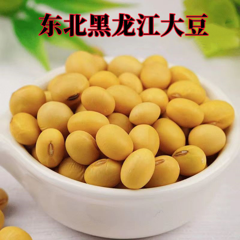 大豆黄豆批发 东北黑龙江国产大豆 俄罗斯 豆腐豆浆原料 袋装大豆