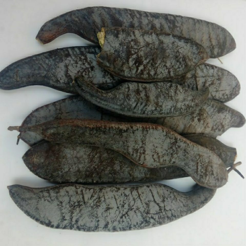 大皂角皂角大皂角长皂角皂荚洗发 包邮新货