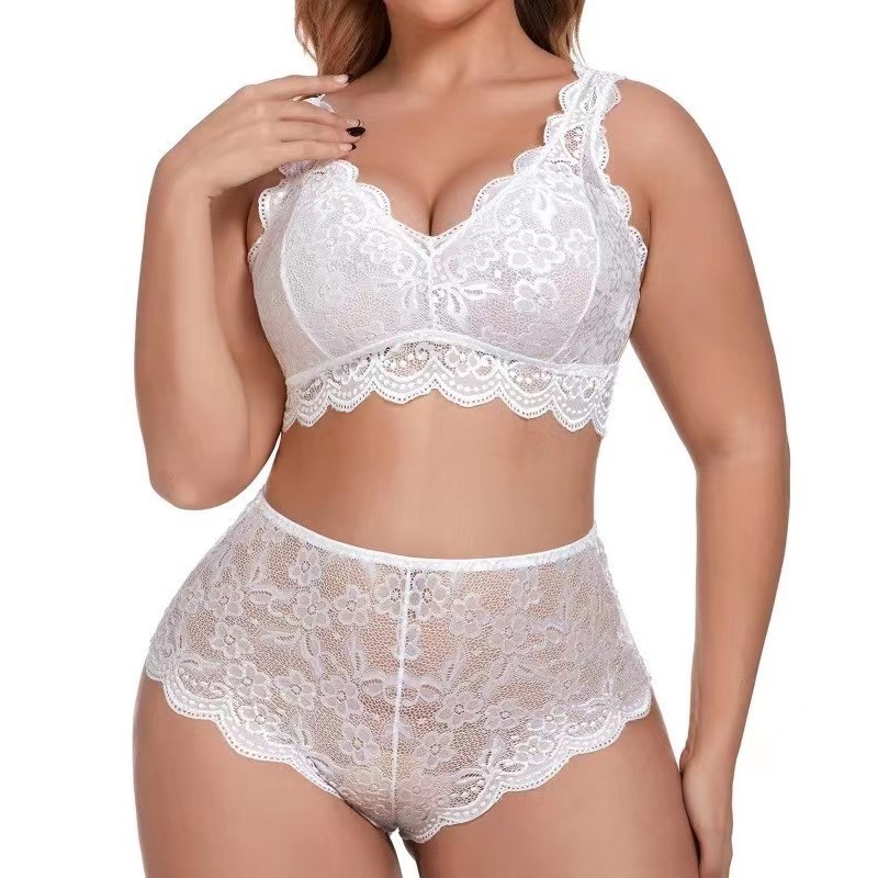 2023 Europe and America Cross Border Sexy Lingerie Teasing plus Size Passion Midnight Lace See-through Sexy Pajamas Factory Wholesale