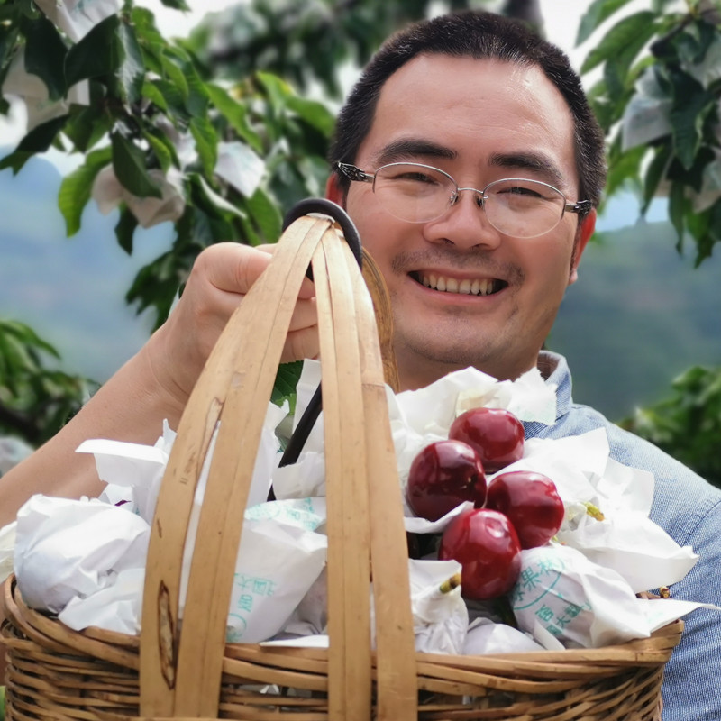 顺丰空运四川汉源车厘子大樱桃黑珍珠车厘子精选套袋果现摘现发
