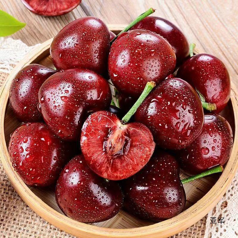 惠冲量 车厘子结5斤黑珍珠樱桃三年现挖矮化苗盆栽新鲜水果-阿里巴巴