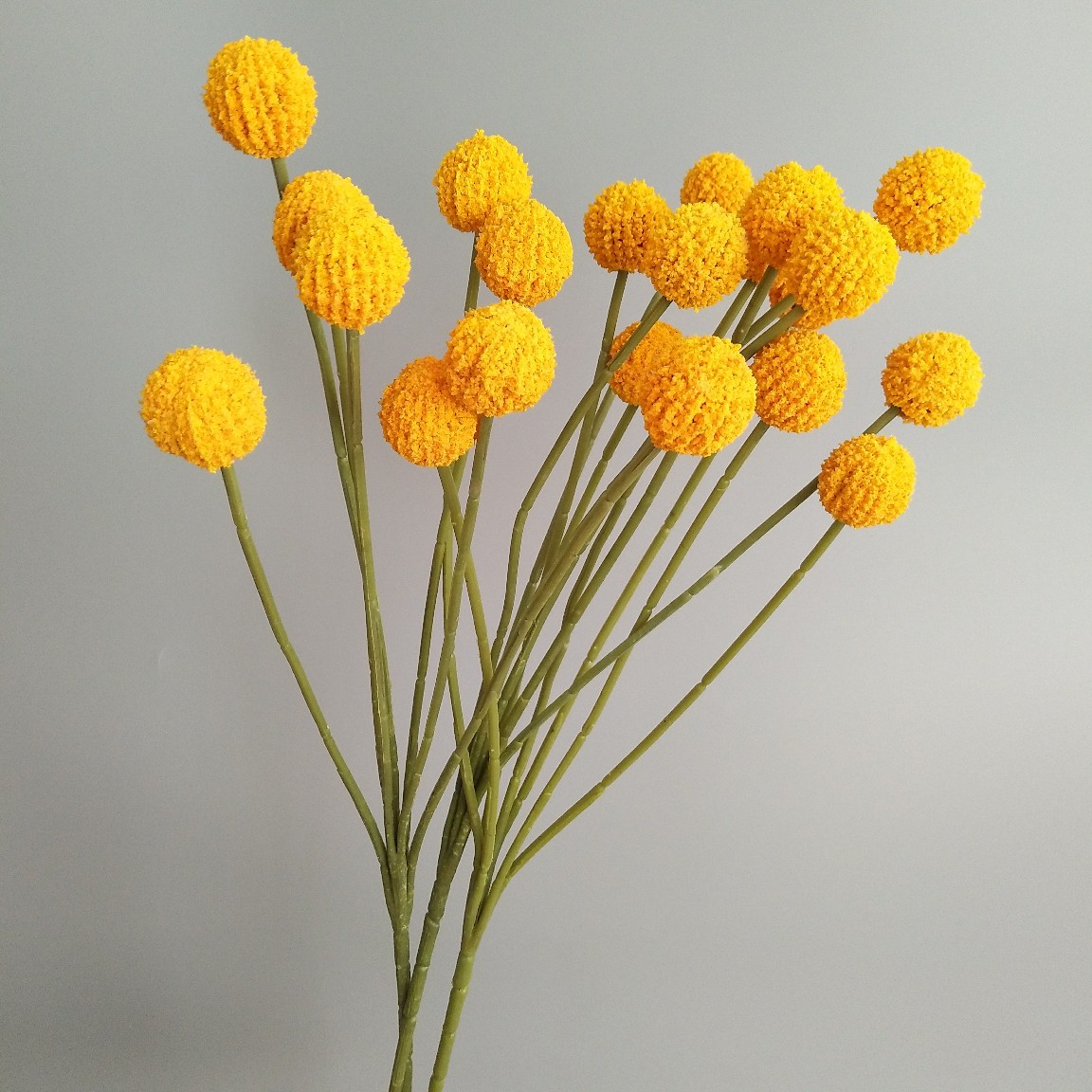 单支黄金球金槌花现代家居样板间装饰婚庆设计拍照直播道具假花果