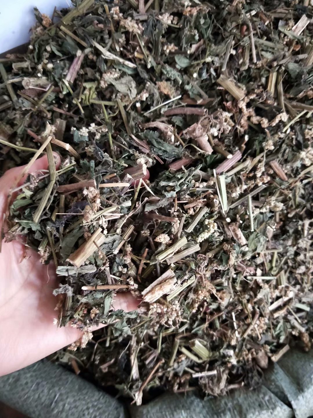 中药材刘寄奴 每件500克