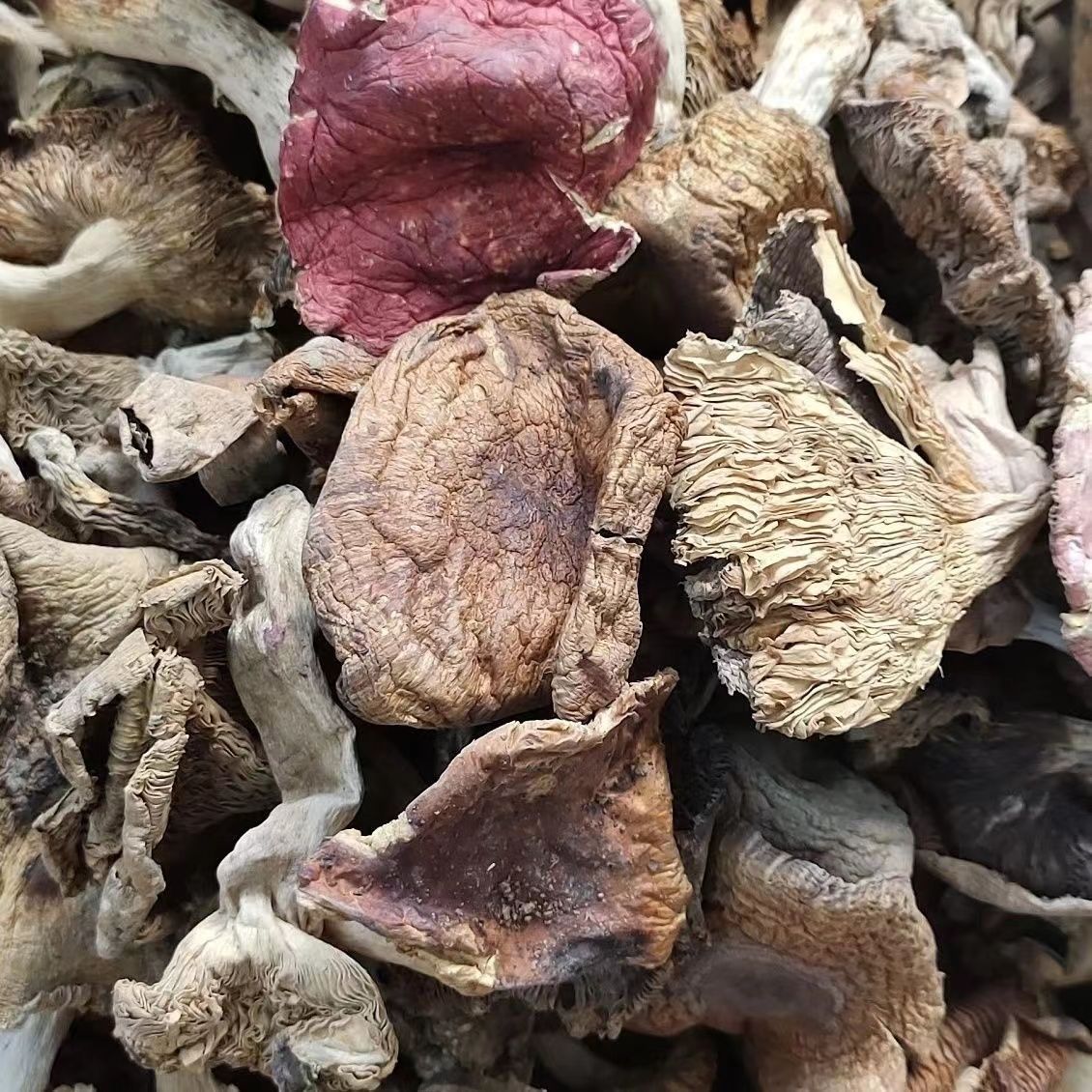 野生菌干货杂菌青菇梨菇云南特产野生蘑菇新货包邮