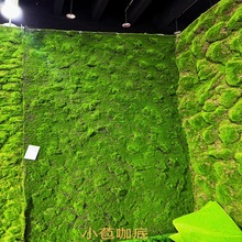 人造青苔 草皮草坪 鼓苞植物苔藓 婚庆花墙植物墙 园林微景观设计