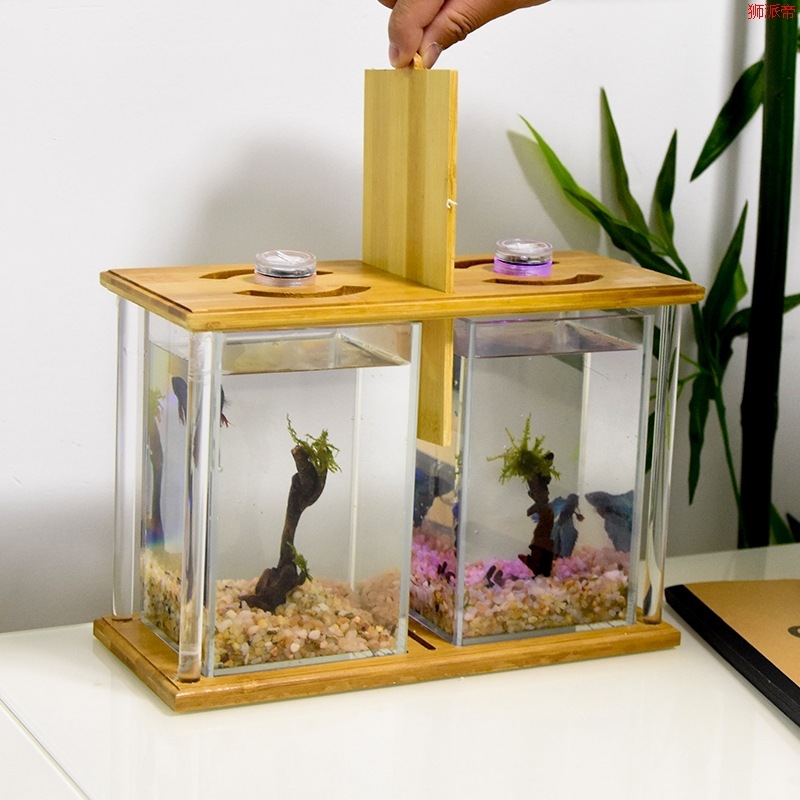 斗鱼双缸观赏鱼景观造景斗鱼缸小缸水族箱饲养创意多格套装繁殖