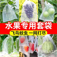 果园尼龙网袋水果专用防鸟防虫袋葡萄无花果枇杷透气网罩保护袋子