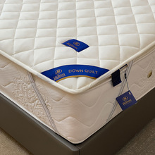 希尔顿酒店纯棉加厚床垫抗菌床护垫榻榻米防滑保护垫可水洗被褥子