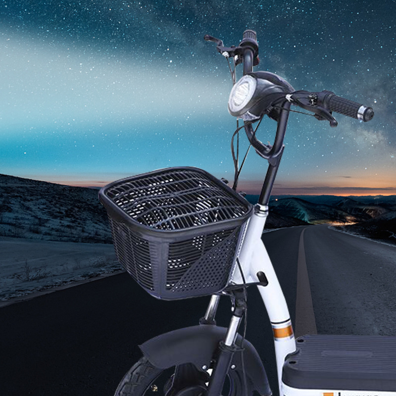 小王子电动车电动自行车48v成人代步国标铅酸锂电跨境两轮电瓶车