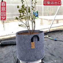 种植袋种植箱阳台楼顶种菜盆无纺布多肉花盆美植蔬果月季育苗盘