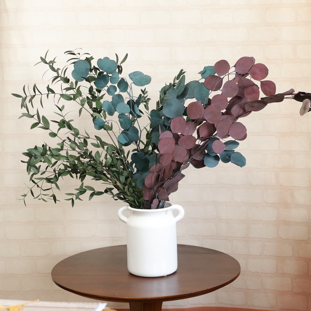 尤加利叶桉树叶小尖叶米粒铜钱桉永生花插瓶花拍摄道具北欧文艺范