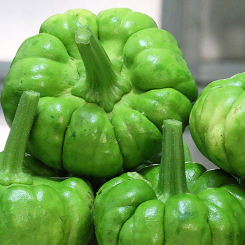 姜柄瓜 云南特产新鲜蔬菜小麦瓜迷你嫩南瓜甜瓜小绿瓜小瓜4斤