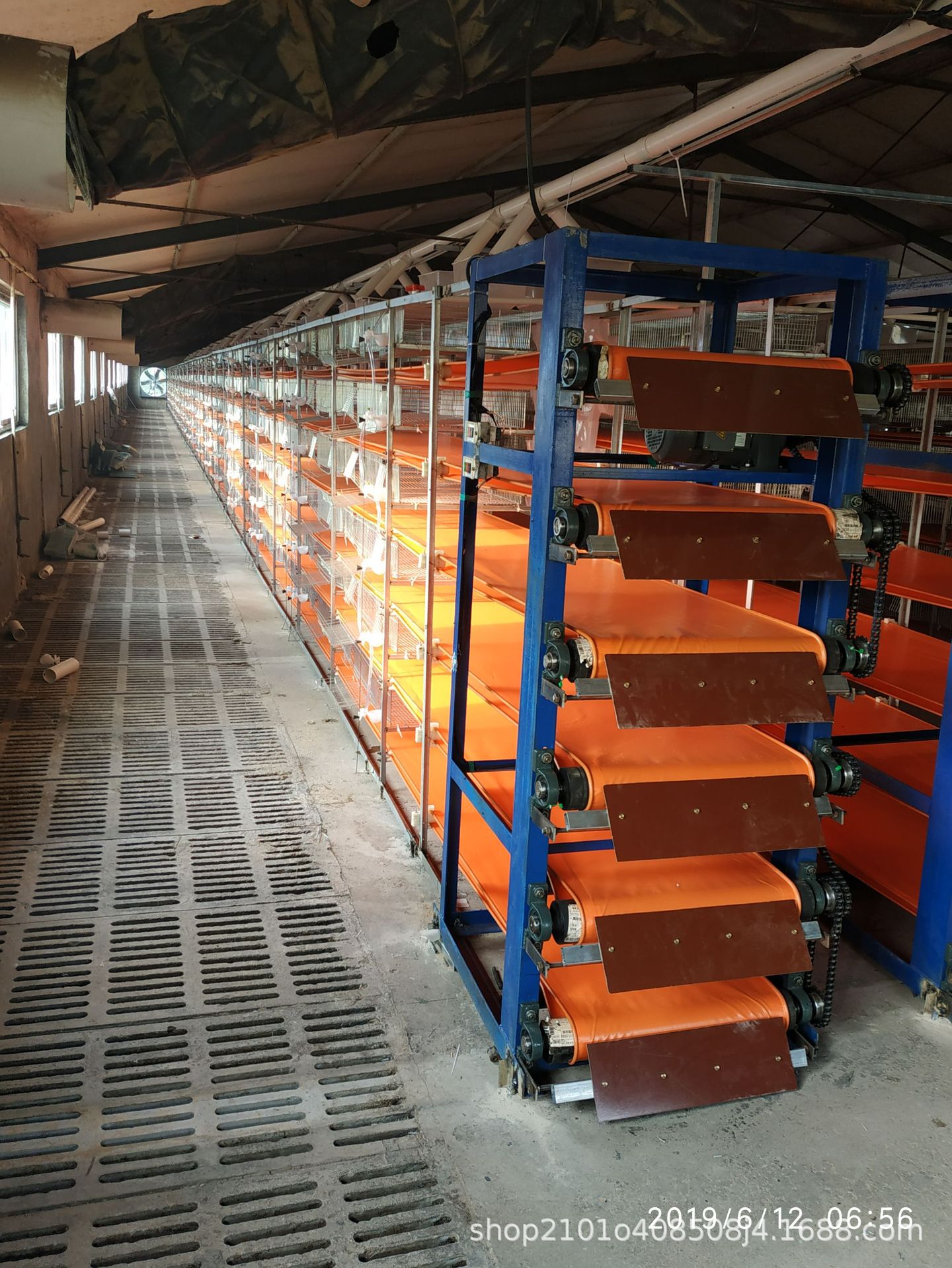 轻轻松松养鹌鹑,解放你的双手;自动化鹌鹑养殖设备