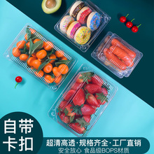 水果盒果蔬盒草莓盒肉卷糕点盒蔬菜盒透明一次性塑料盒子加厚带扣