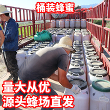 新疆黑蜂源头蜂场批发成熟保真原蜜蜂糖食品烘焙原料大桶散装蜂蜜