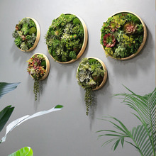 圆形绿植框壁挂花客厅墙壁挂墙植物 创意餐厅墙面墙体装饰植