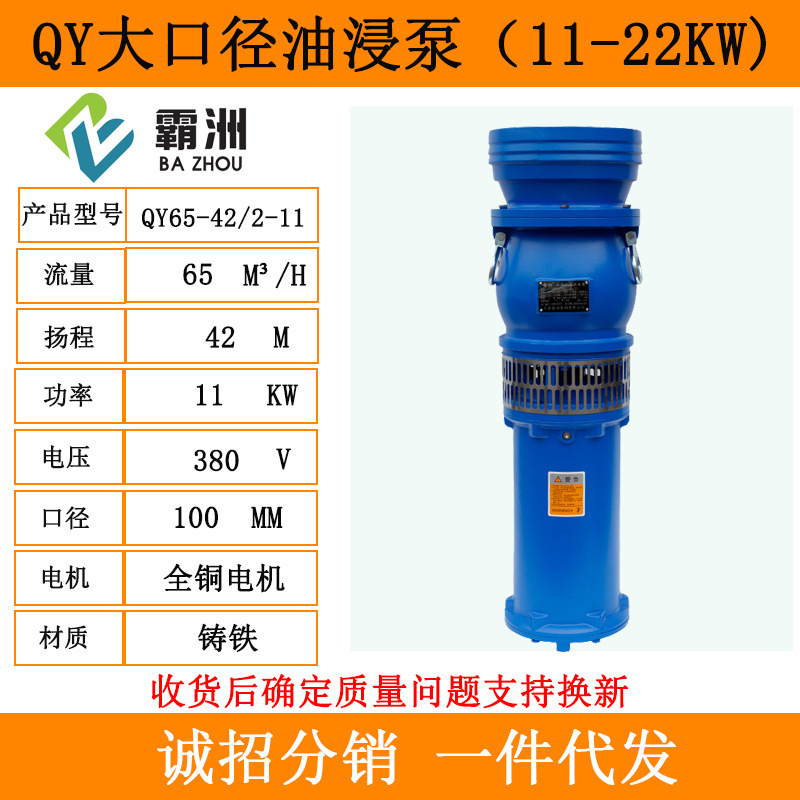 Customized QY Oil Pump Three-Phase Submersible Pump Agricultural Garden Drainage and Irrigation Pump Large Flow Fountain Pump Irrigation Pump
