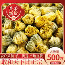 菊花茶杭白菊桐乡胎菊王头采500g散装正宗野生花茶花茶贡菊花草茶