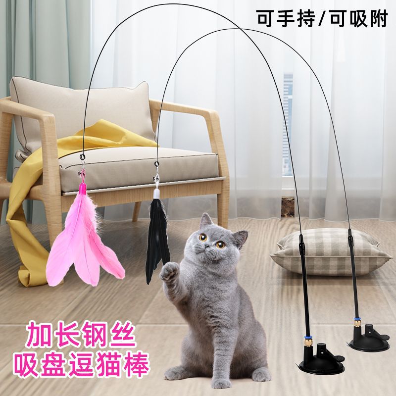 Cat Toy Cat Teaser with Bell Long Brush Holder Suction Cup Self-Hi Bite-Resistant Cat Funny Cat Artifact Feather Head Factory in Stock