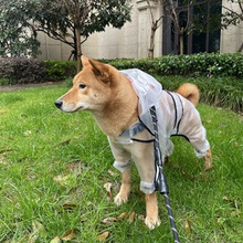 大狗狗雨衣金毛柴犬边牧哈士奇中型犬大型犬宠物雨天防水雨披衣服