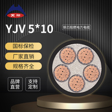 【厂家直销】天环 铜芯电力电缆 阻燃YJV5*10平方国标低压电缆线