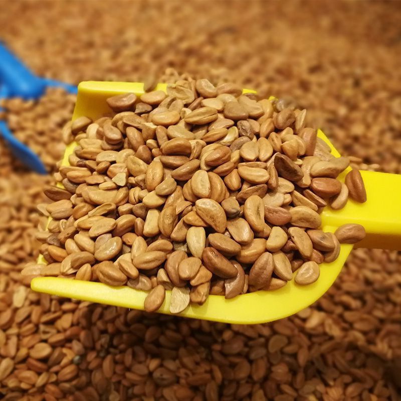 山楂籽汽车坐垫单片夏季坐垫座椅免捆绑凉垫防滑坐垫-阿里巴巴