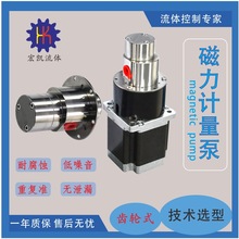 微型齿轮计量泵耐腐蚀无脉动物输送小流量化工磁力计量泵