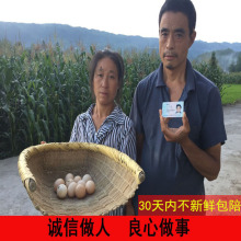 富硒山区土鸡蛋正宗农家散养柴鸡蛋纯天然草鸡笨鸡蛋30枚