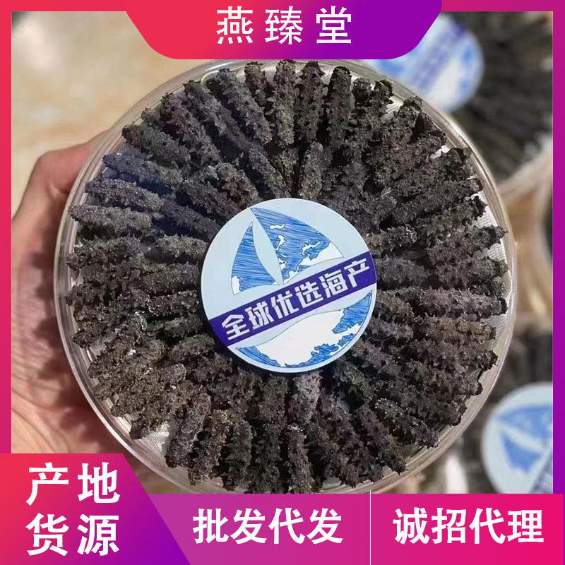 野生海参俄罗斯小海参干刺参批发红极参辽参关东参全规格产地直供