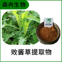 败酱草提取物 豆鼓草浓缩粉 植物提取原料粉 厂家直供 全水溶