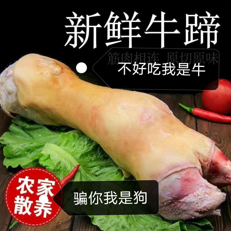 牛蹄贵州牛脚牛长蹄带骨整只切块生带筋去毛牛爪新鲜冷冻批发跨境