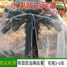 杨梅网罩水果树防虫网网罩莲雾蓝莓网桃树防鸟网网罩大棚网罩40目