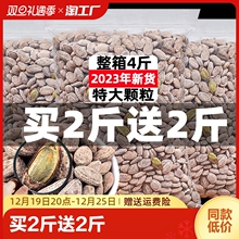 吊瓜子2023年新货500g奶油原味坚果炒货零食整箱批发5斤非瓜蒌子