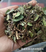 络石藤统装 500g 产地山东 振兴药材购销站 量大从优 一站式采购