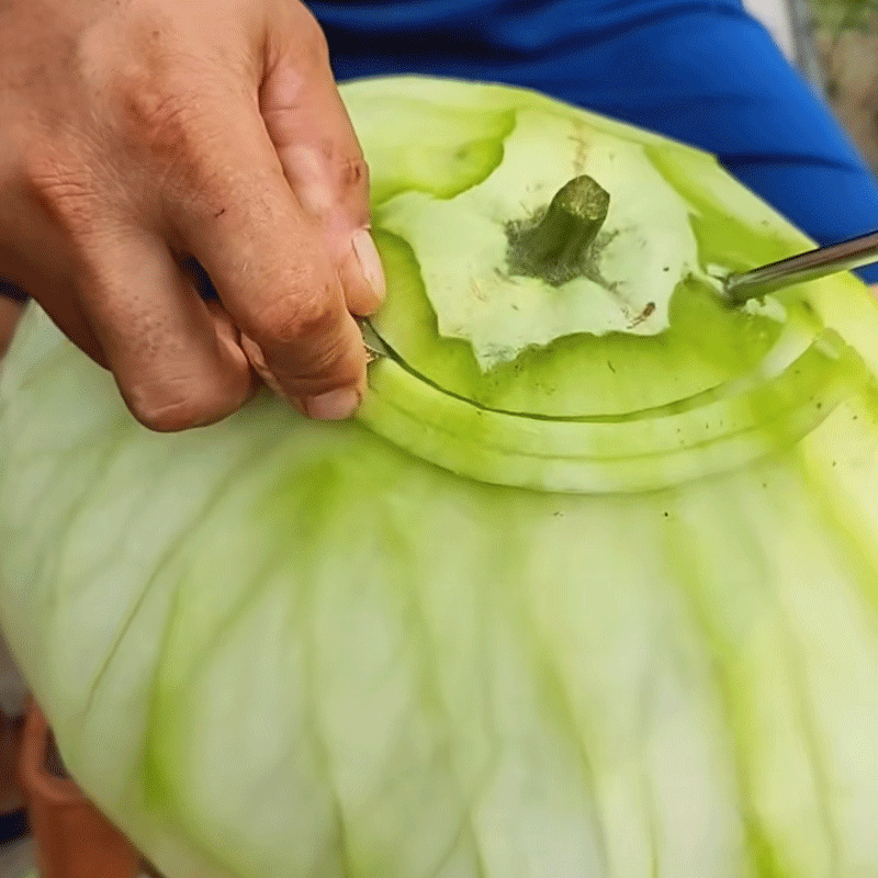 做旋葫芦条神器东北削葫芦条的工具机器旋子刮葫芦条刀手摇去皮机