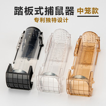 塑料捕鼠器(中号笼)环保安全老鼠笼无毒活捉老鼠夹