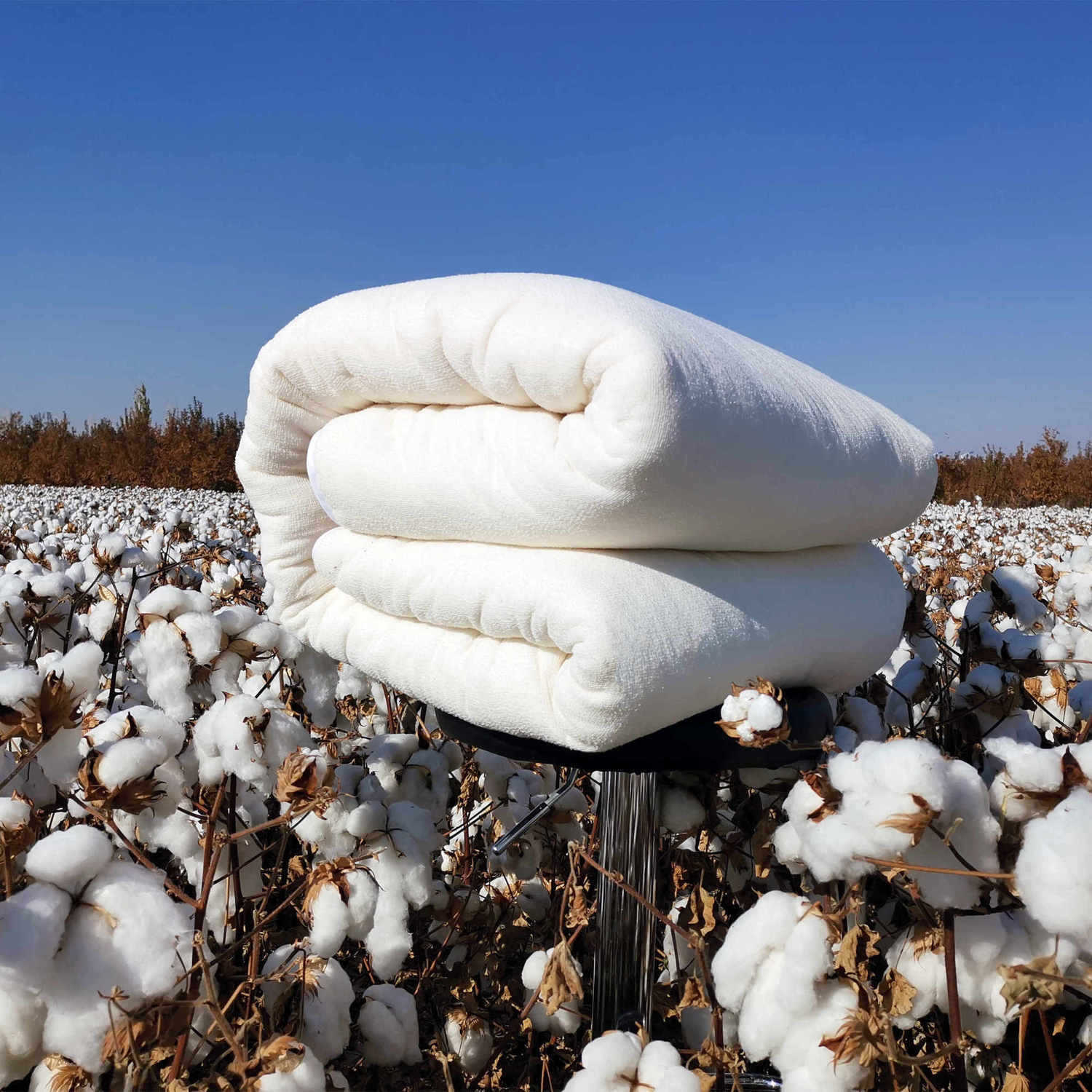 床垫纯棉新疆棉花被一级长绒棉被芯棉絮加厚冬被垫被褥子棉棉网套