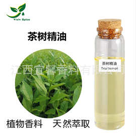 茶树油 茶树枝叶水蒸馏萃取所得茶树精油