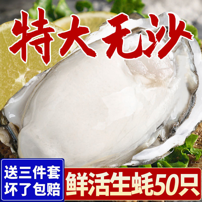 点击查看大图