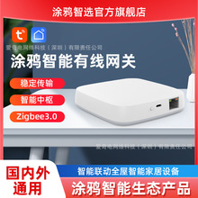 涂鸦智能家居zigbee3.0有线网关 家庭中央控制中心网关设置升级版