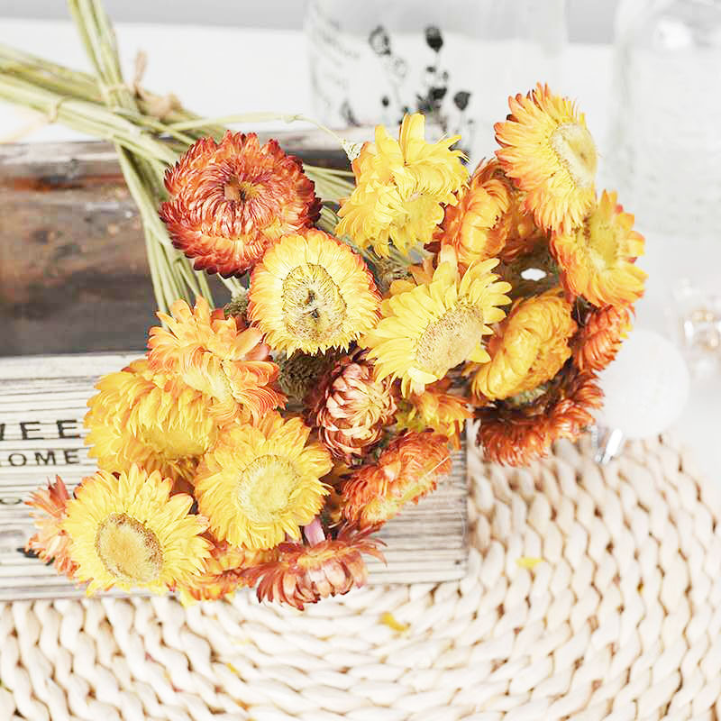 工厂热销永生花麦秆菊天然真花干花麦秆菊粉色橙色麦秆菊插花花材