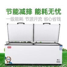 110v速冻卧式冷柜大冰柜冷藏冰柜商用大容量小冰柜冷冻柜深冰柜